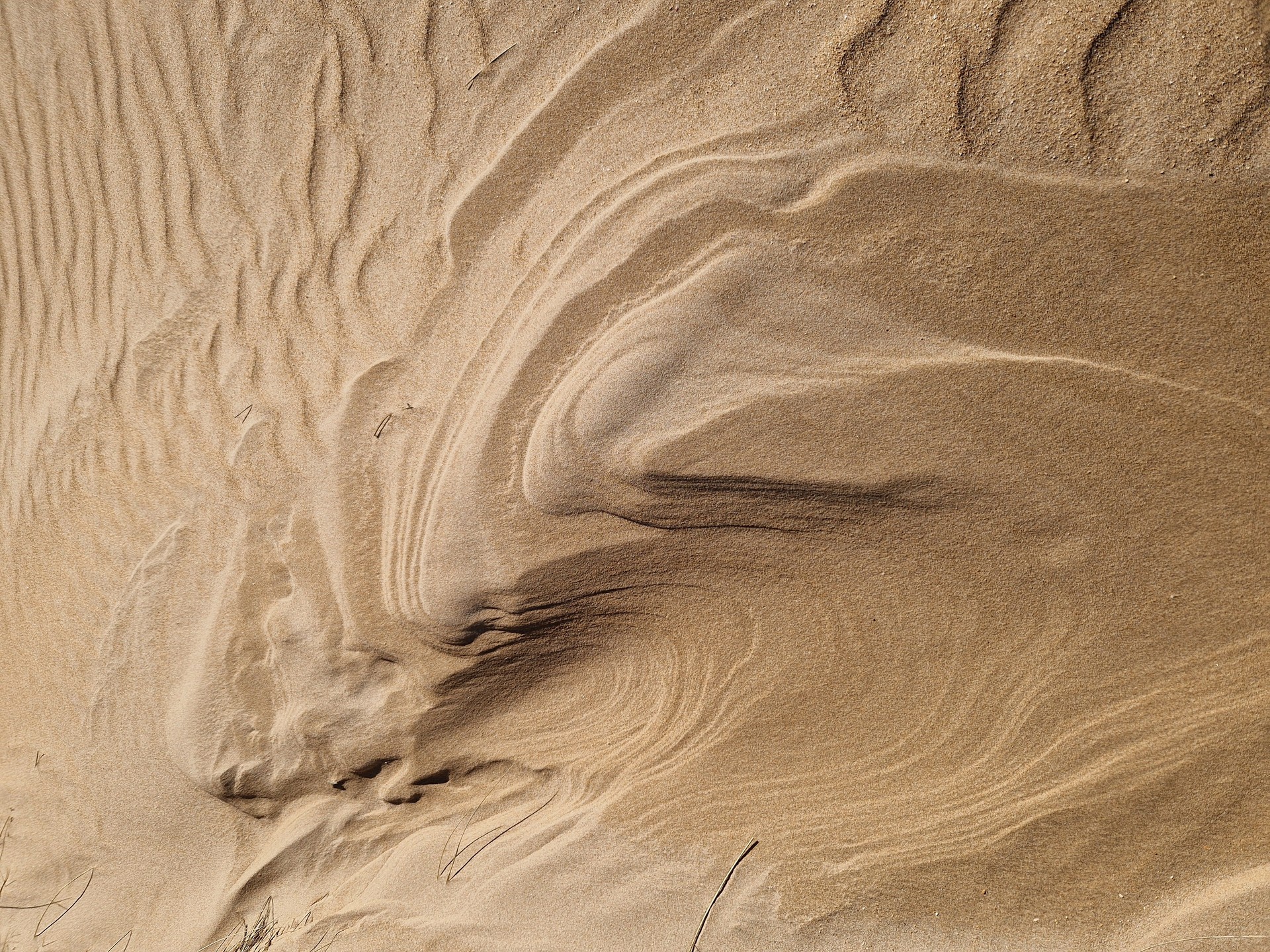 Patterns in sand